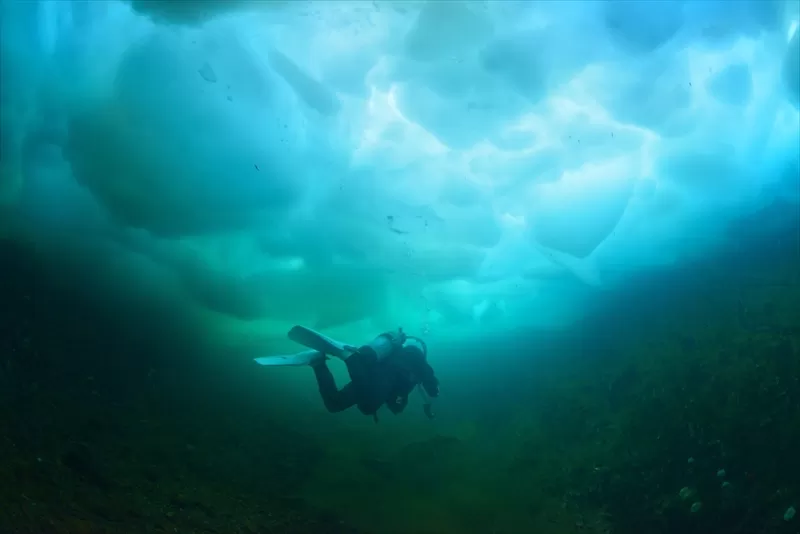 流氷ダイビング