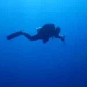 【ダイビング技術】なぜ中性浮力が難しく感じるかのサムネイル